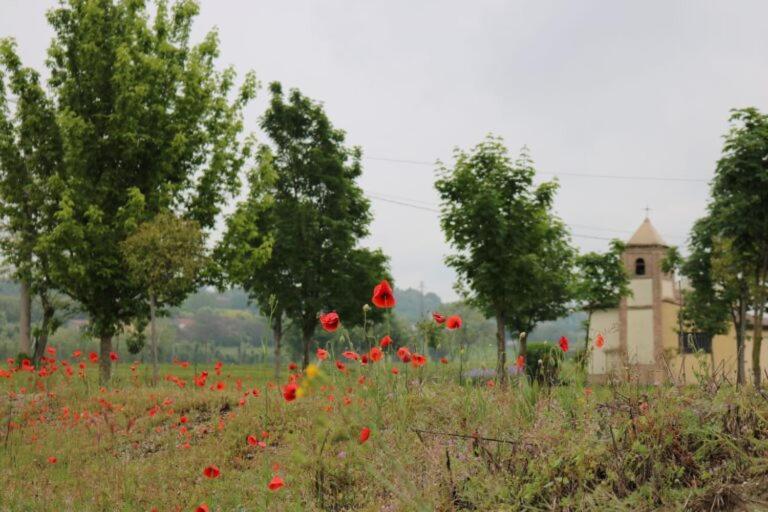 Foresto Case Vacanza Volta Mantovana Bagian luar foto